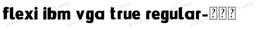 Flexi IBM VGA True Regular字体转换